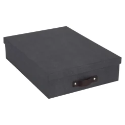 DPJ Workspace Aufbewahrungsbox mit Deckel