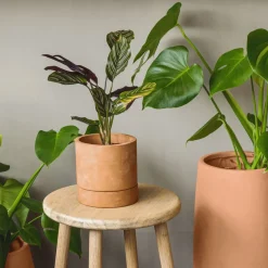 DPJ Workspace Blumentopf A.J - SET