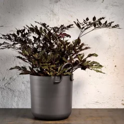 DPJ Workspace Blumentopf Tivoli