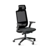 DPJ Workspace Ergonomischer Bürostuhl Ergo 317