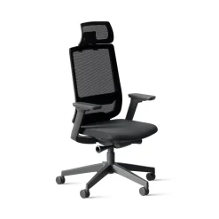 DPJ Workspace Ergonomischer Bürostuhl Ergo 317