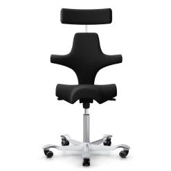 DPJ Workspace Ergonomischer Bürostuhl HÅG Capisco 8107