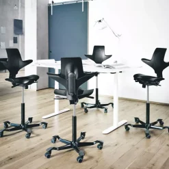 DPJ Workspace Ergonomischer Bürostuhl HÅG Capisco Puls 8010