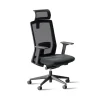 DPJ Workspace Ergonomischer Bürostuhl Relief