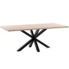 DPJ Workspace Esstisch A.R