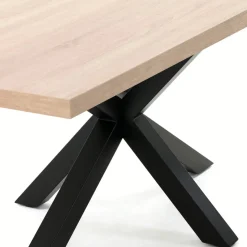 DPJ Workspace Esstisch A.R
