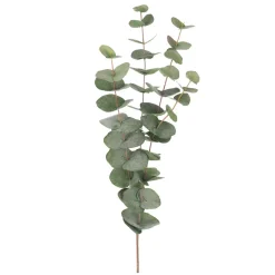 DPJ Workspace Kunstgewächs Eucalyptuszweig