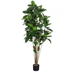 DPJ Workspace Kunstgewächs Ficus Robusta