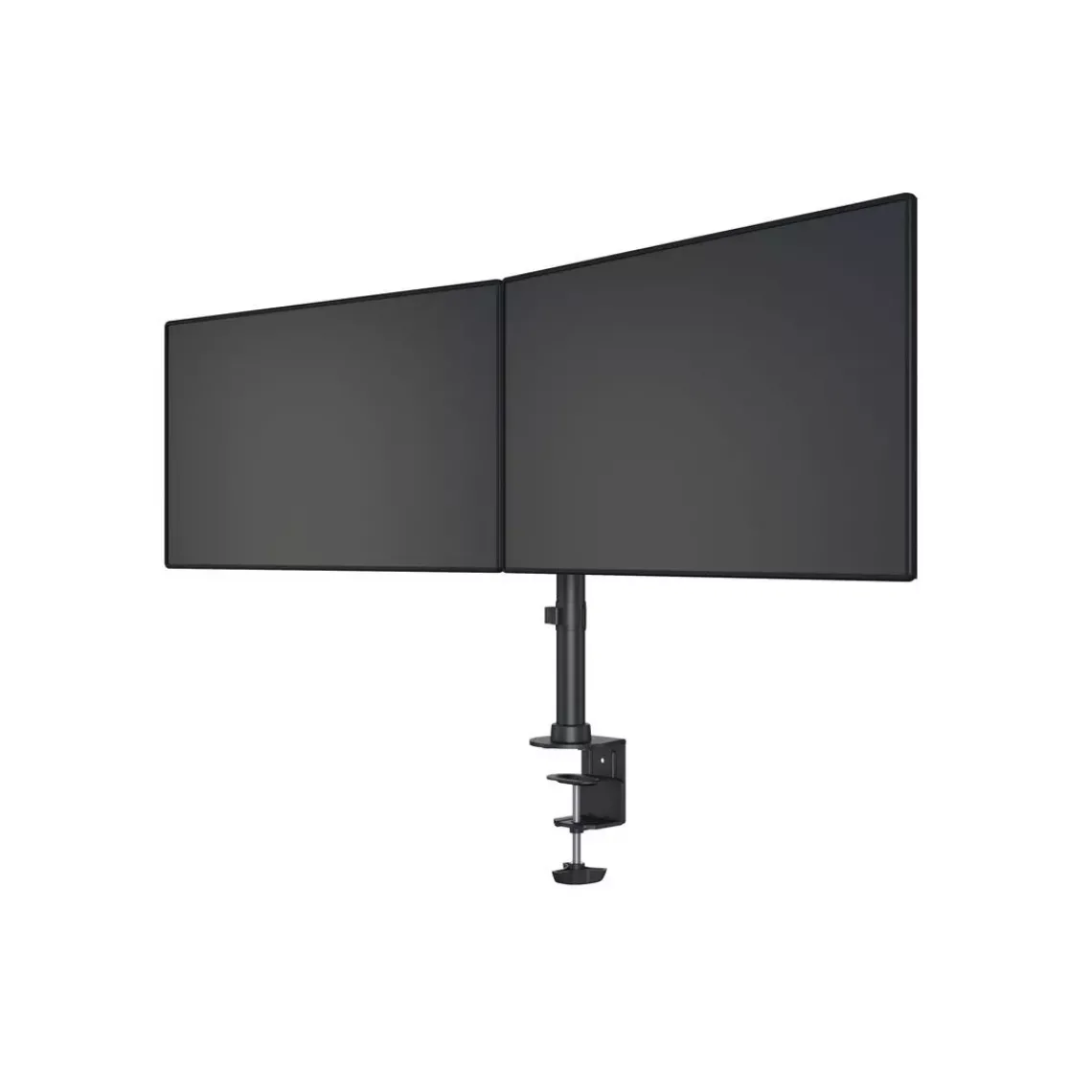 DPJ Workspace Monitorarm M Deskmount Basic Dual