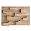 DPJ Workspace Organizer Input