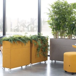 DPJ Workspace Raumteiler Plant Divider - 30 mm Schallabsorber