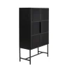 DPJ Workspace Schrank Collect