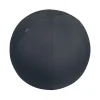 DPJ Workspace Sitzball Ergo Active