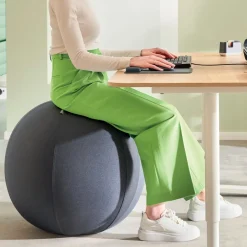 DPJ Workspace Sitzball Ergo Active