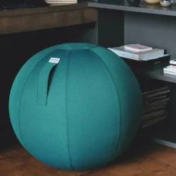 DPJ Workspace Sitzball Vluv Leiv