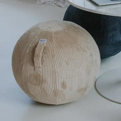DPJ Workspace Sitzball Vluv Vlip